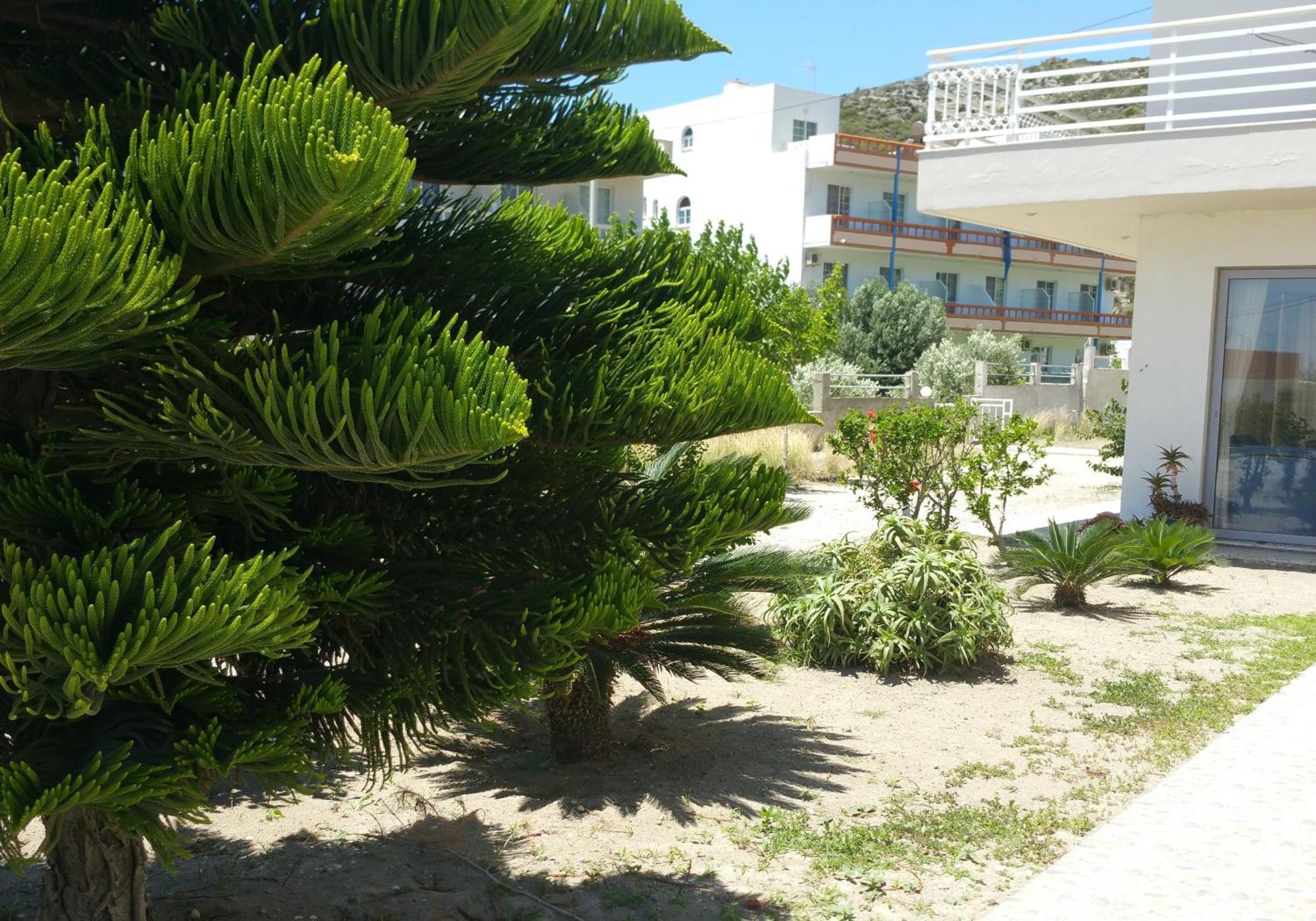 Faliraki Dream Studios & Apartments Екстер'єр фото