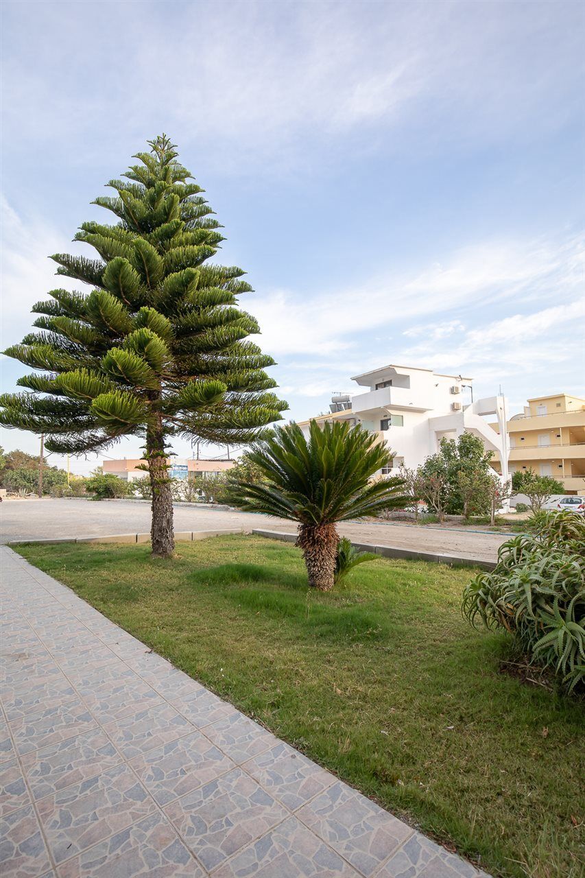 Faliraki Dream Studios & Apartments Екстер'єр фото